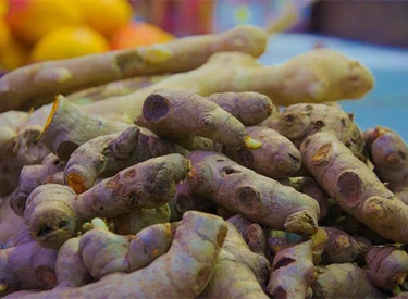 Tumeric root by Botanical Cube Inc.