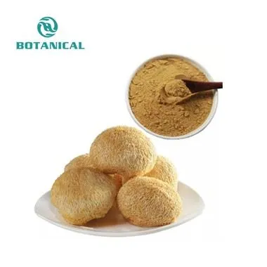 Extract de manevră de leu/Hericium erinaceus Extract Powder