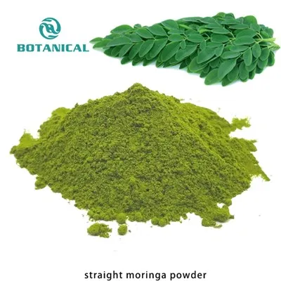 Moringa Extract Moringa Leaf Powder