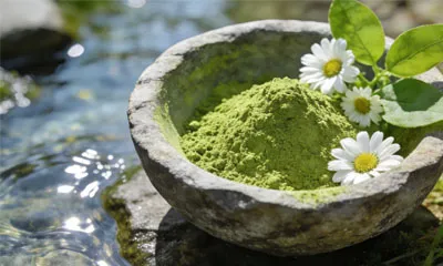 Care sunt beneficiile pentru mediu ale pudrei de matcha organice?