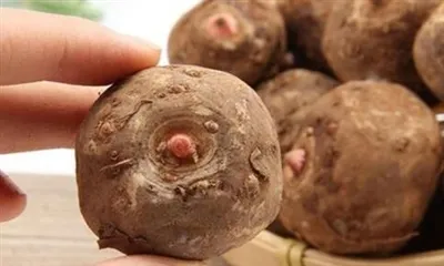 Pentru ce este bun extractul de rădăcină de Konjac?