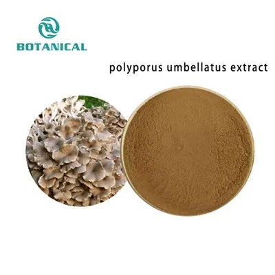 Extract Polyporus Umbellatus